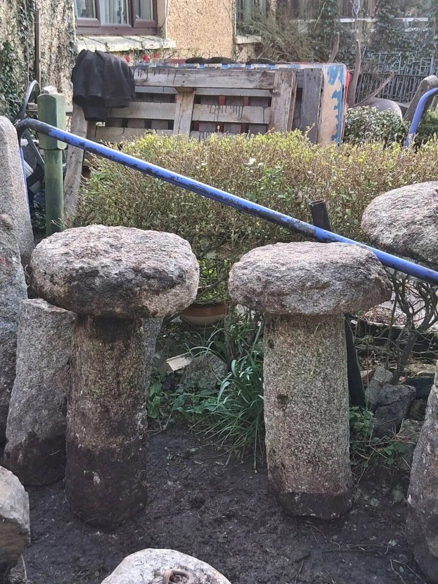 2 Cut Granite Toadstools Antique 18 Century - Image 2