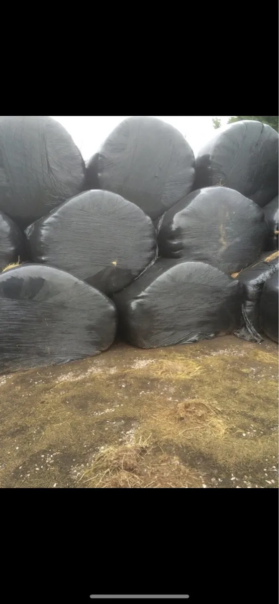 Silage