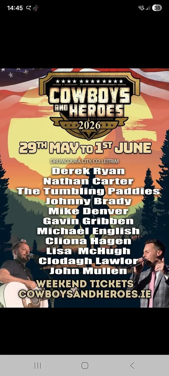 Roan breeding heifer - Image 2