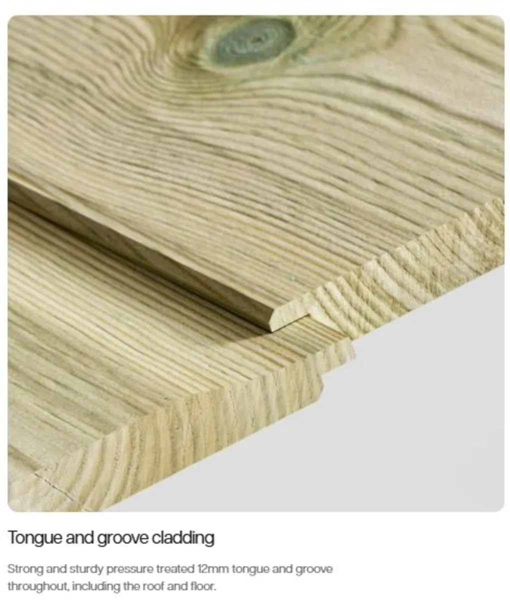 🌟 12x10 Premium Coola Timber Apex Garden Sheds - Image 4