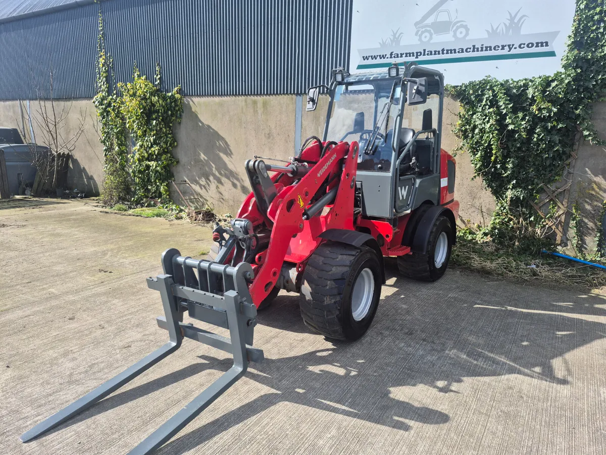 Weidemann 1880 - Image 3