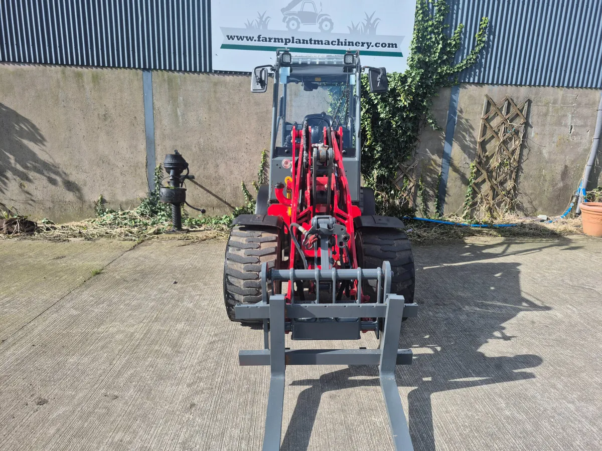 Weidemann 1880 - Image 2