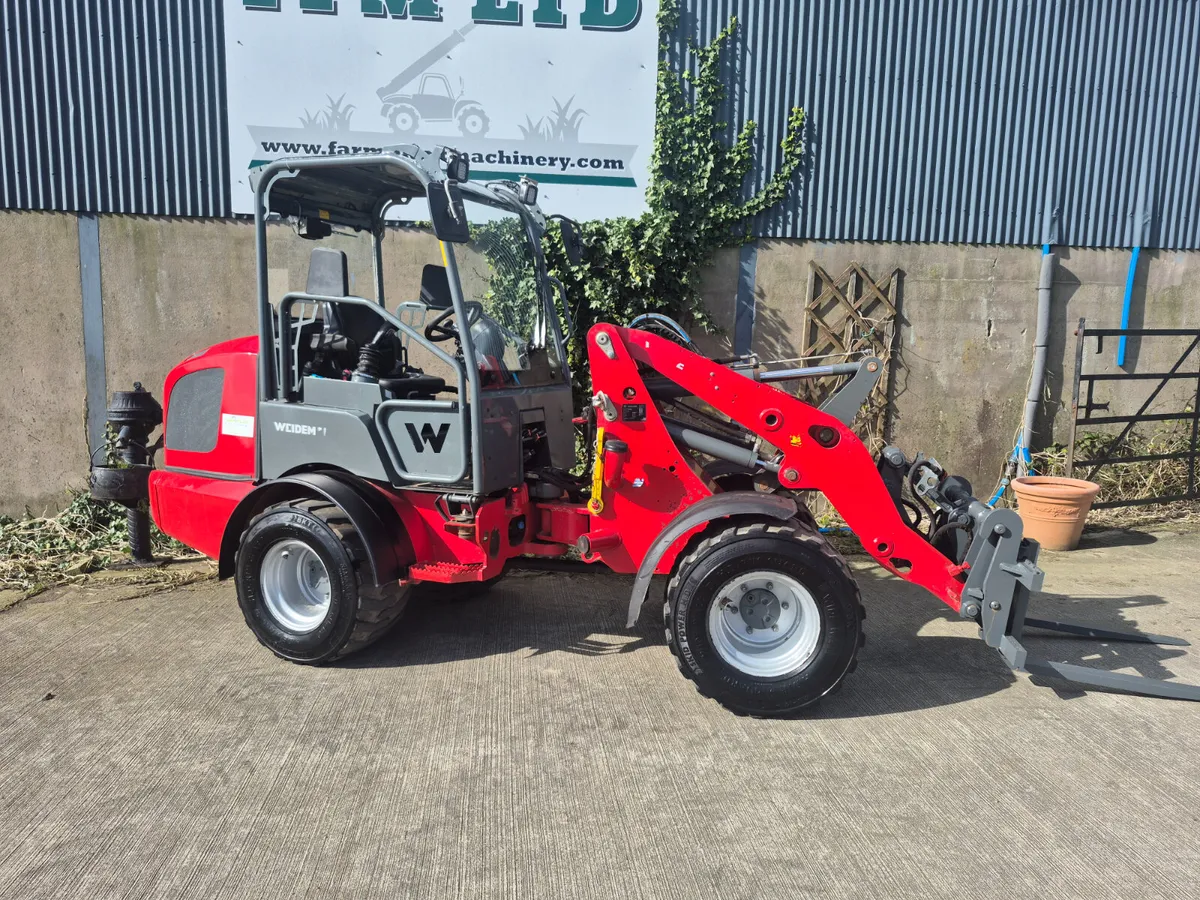 Weidemann 1880 - Image 1