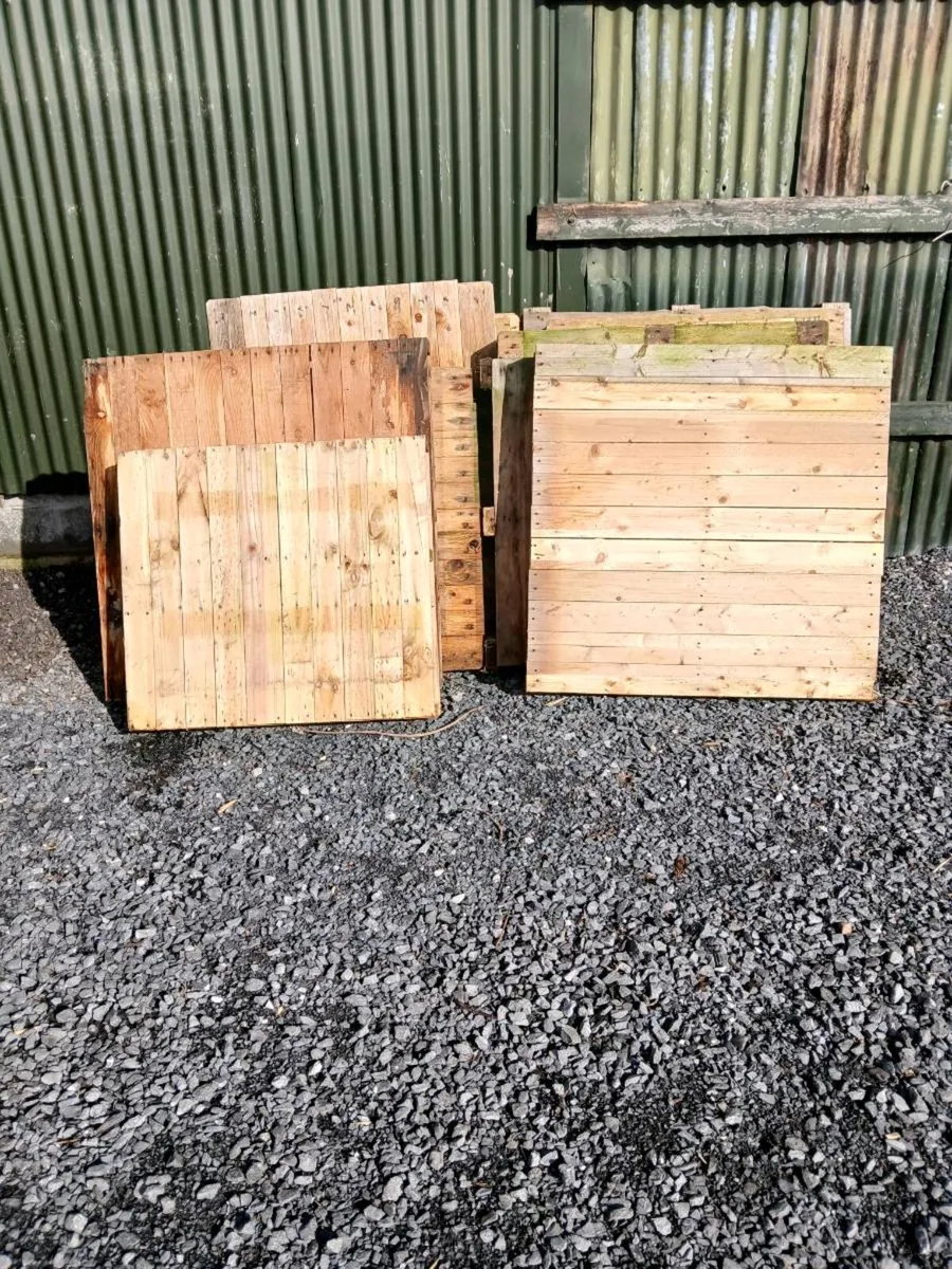 solid pallets - Image 1