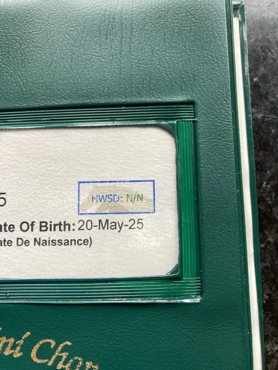 ⭐️Connemara Colt⭐️ - Image 4