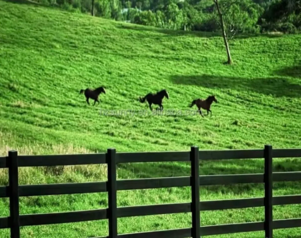 Horse Fencing & Gates - Image 2