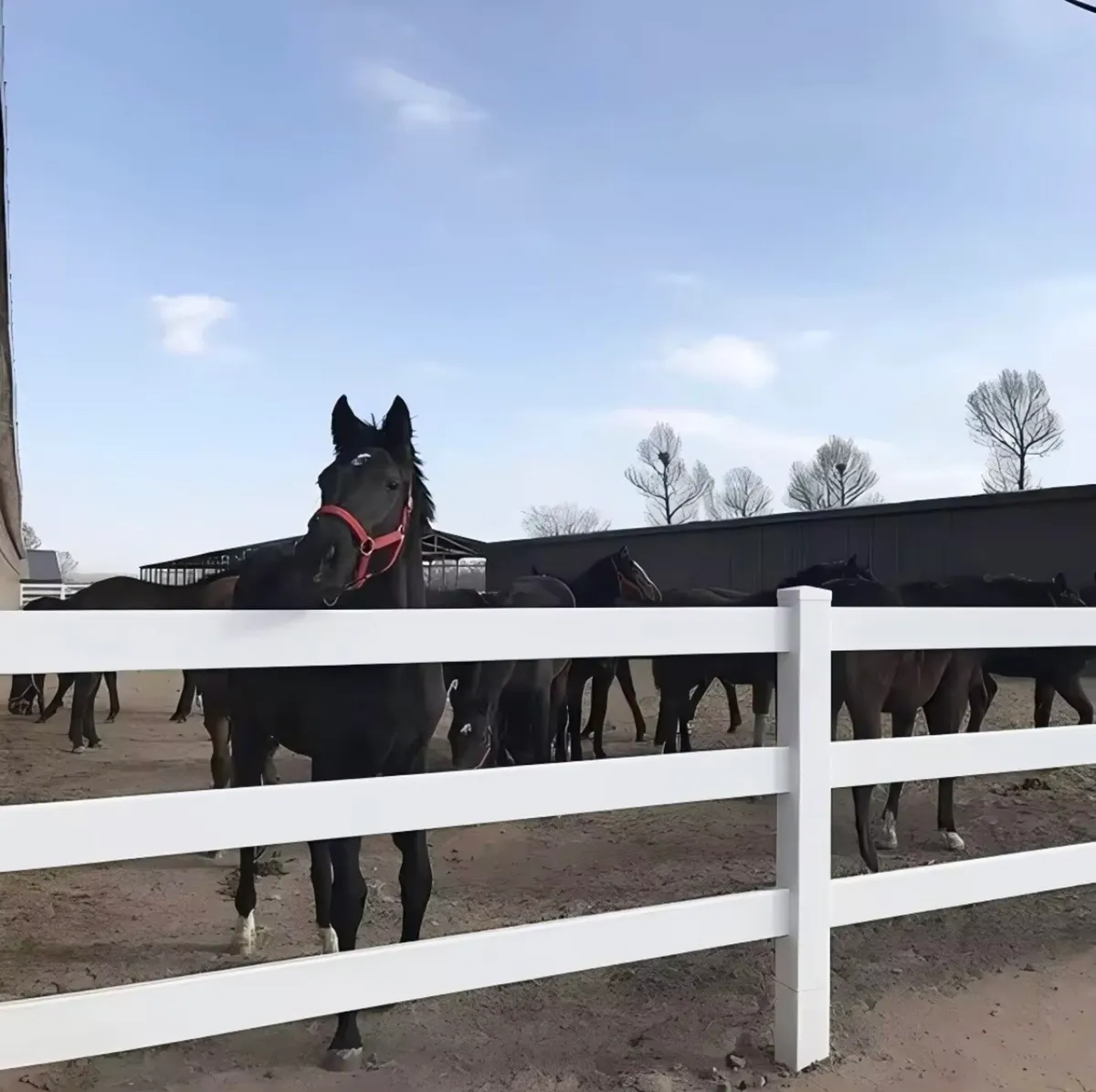 Horse Fencing & Gates - Image 1