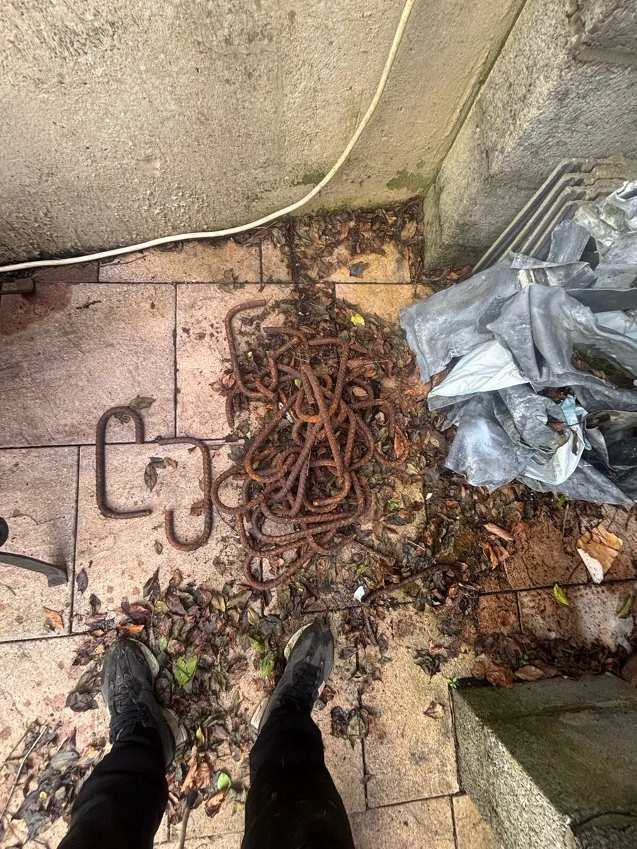 FREE FREE FREE - Image 1