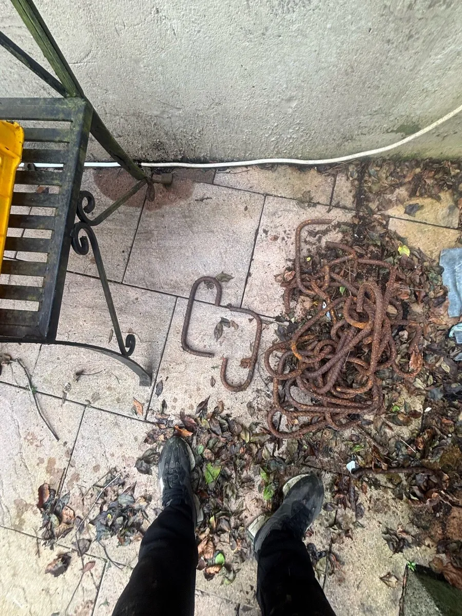 FREE FREE FREE - Image 2