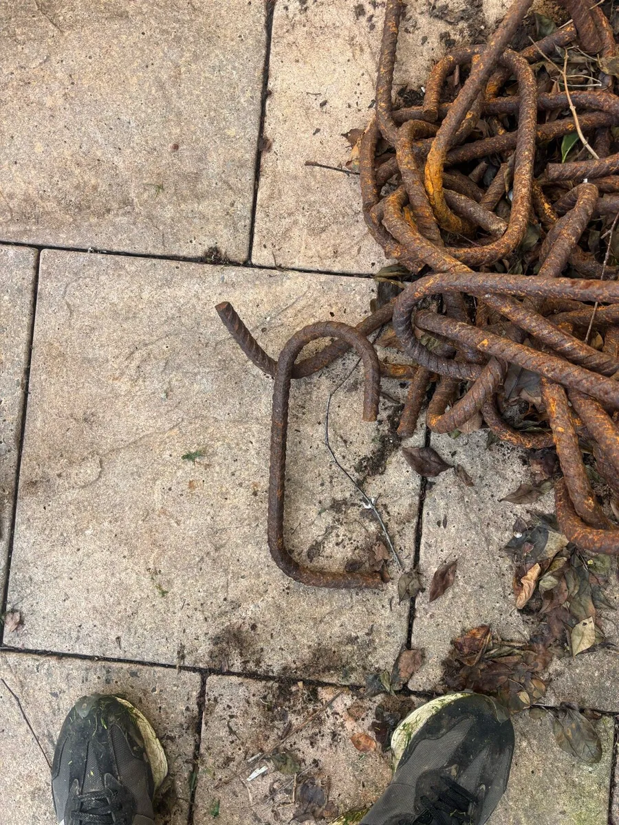 FREE FREE FREE - Image 4