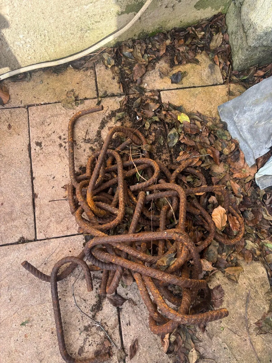 FREE FREE FREE - Image 3