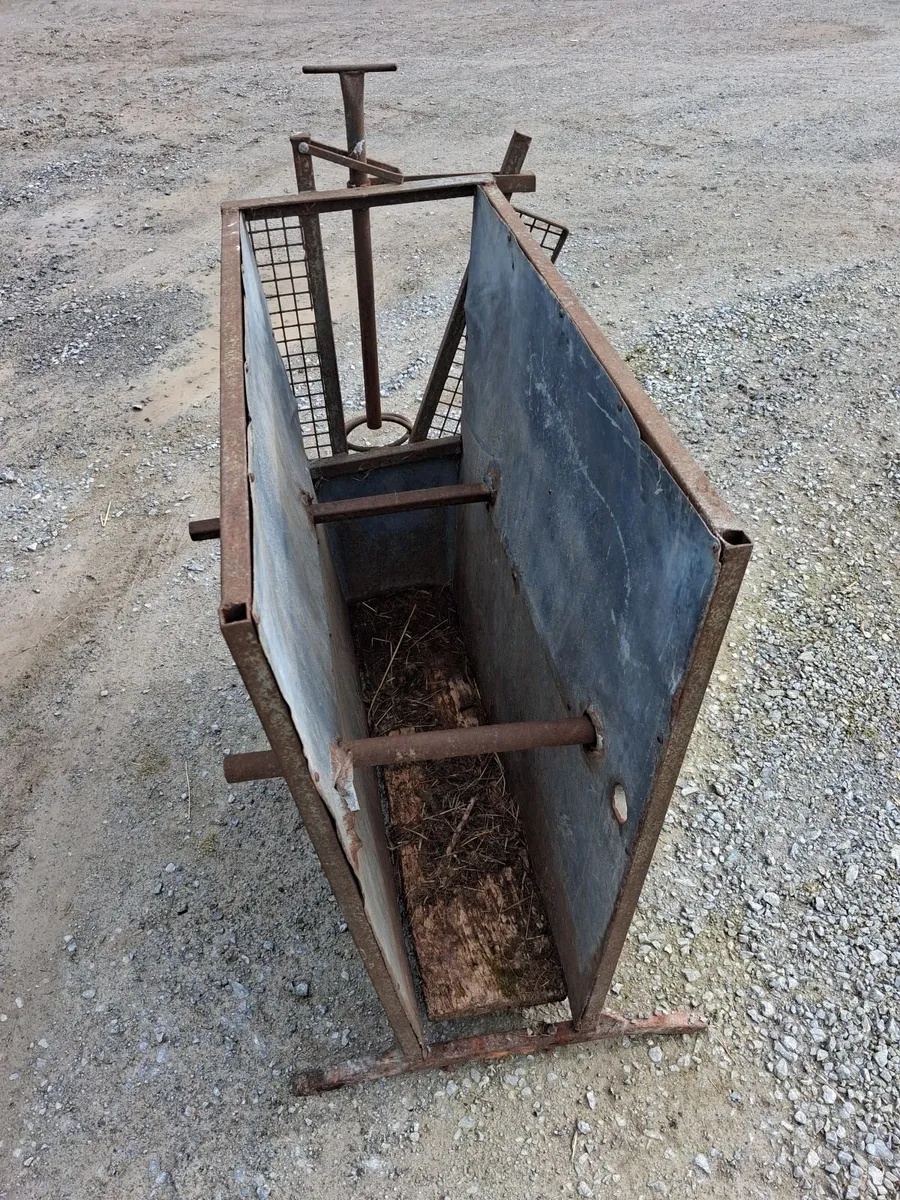 Dehorning crate - Image 2