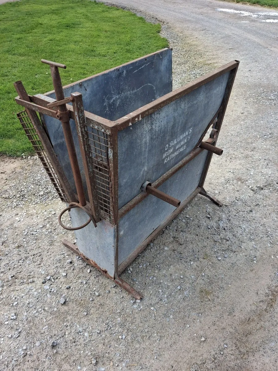 Dehorning crate - Image 3