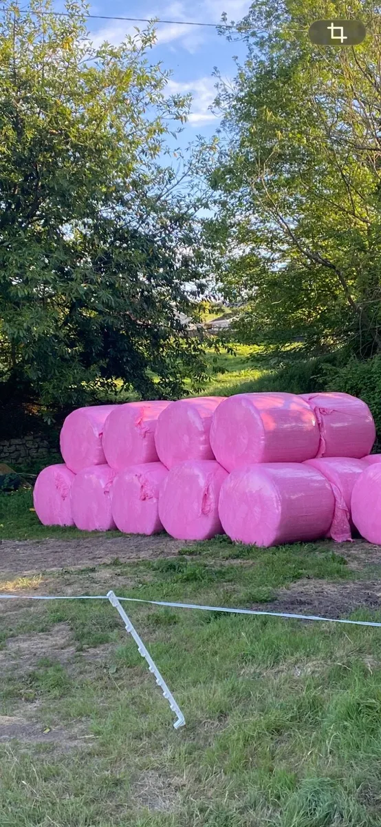 Silage bales - Image 2