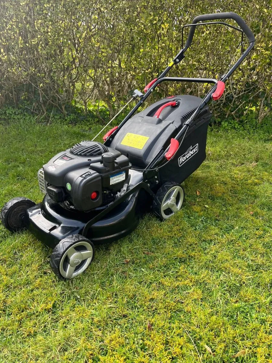 Lawnmower Briggs and Stratton - Image 1