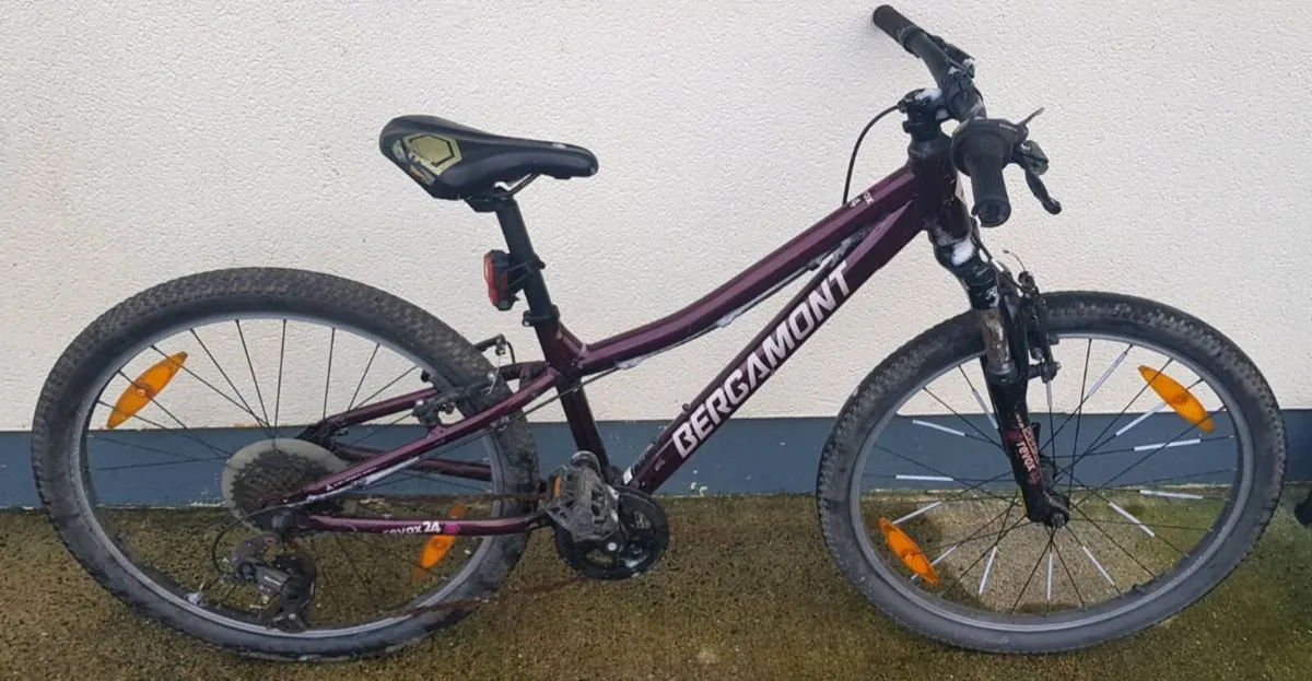 Girls mountain bike - Image 2