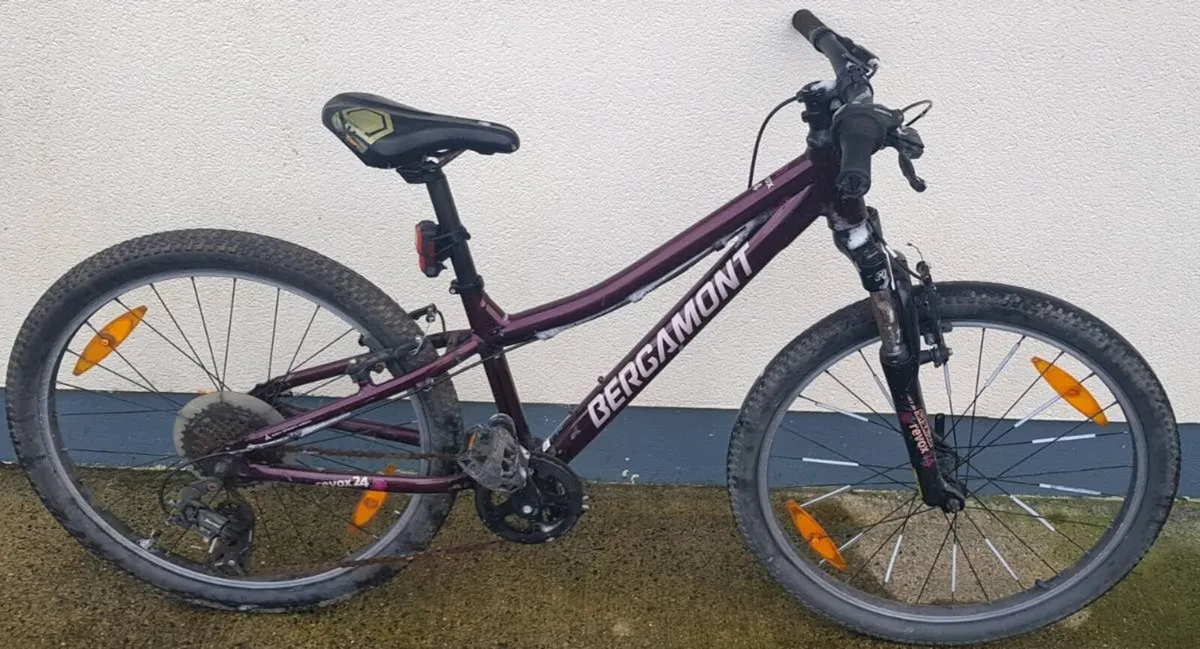 Girls mountain bike - Image 1