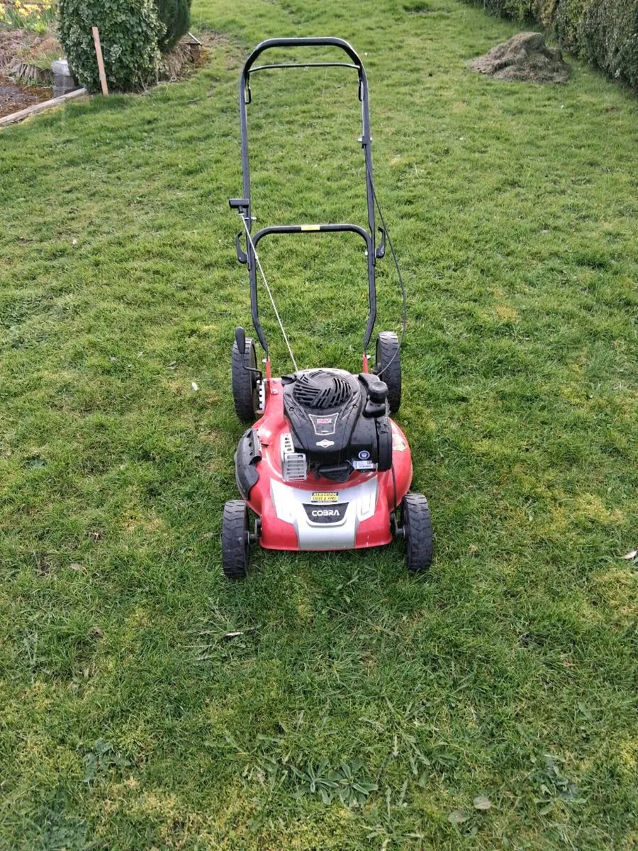 Cobra lawnmower - Image 4