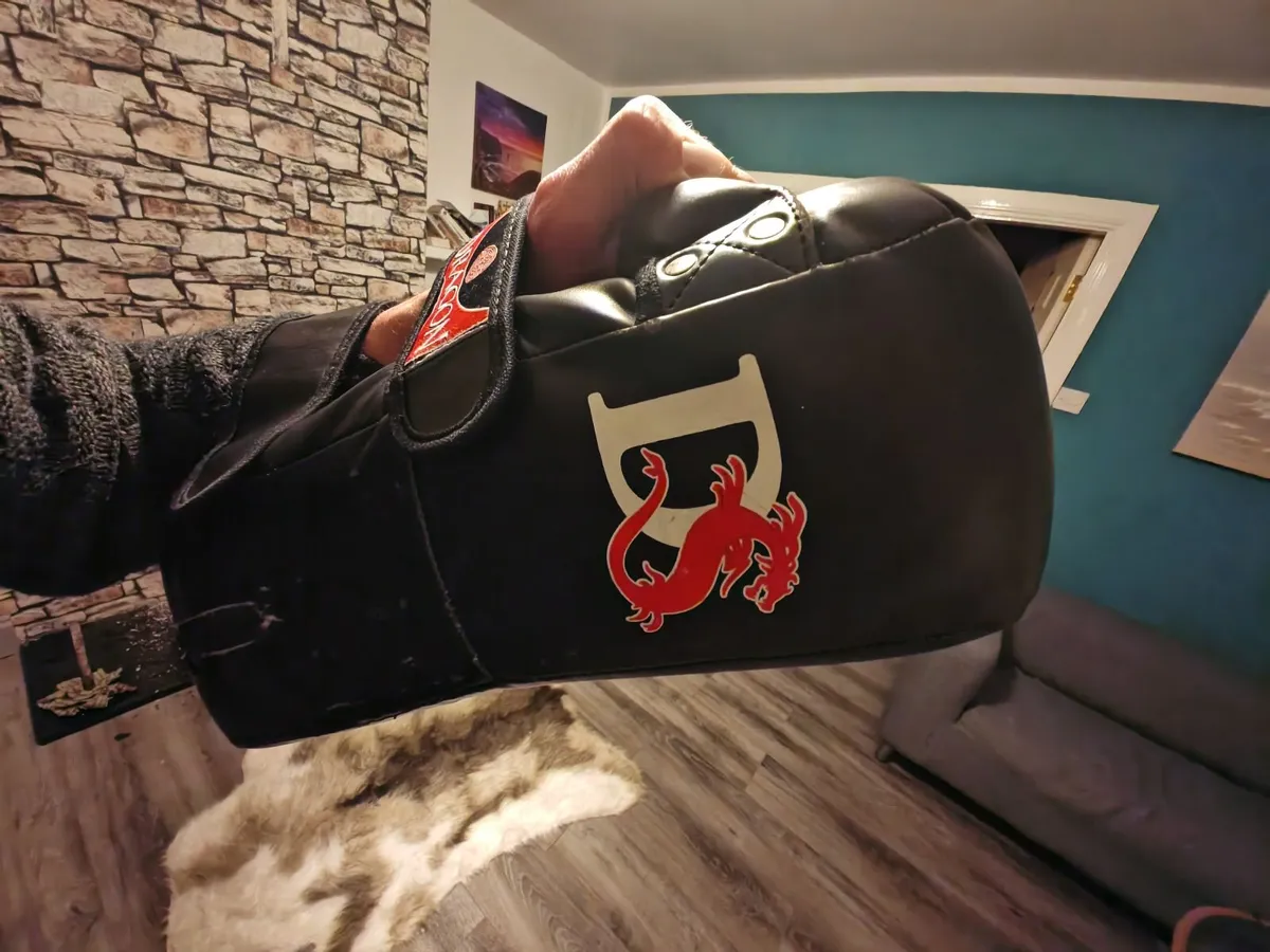 Muay thai set gloves, pads, shields + 20kg weights - Image 2