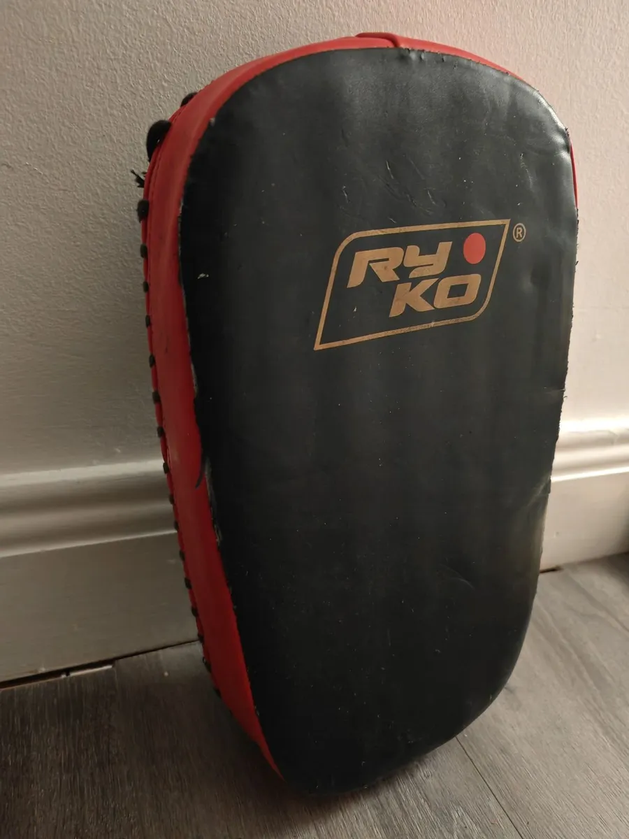 Muay thai set gloves, pads, shields + 20kg weights - Image 4