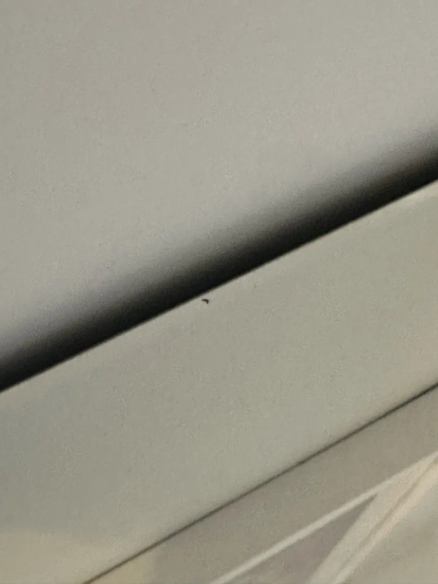 Mirrored Console Table - Image 4