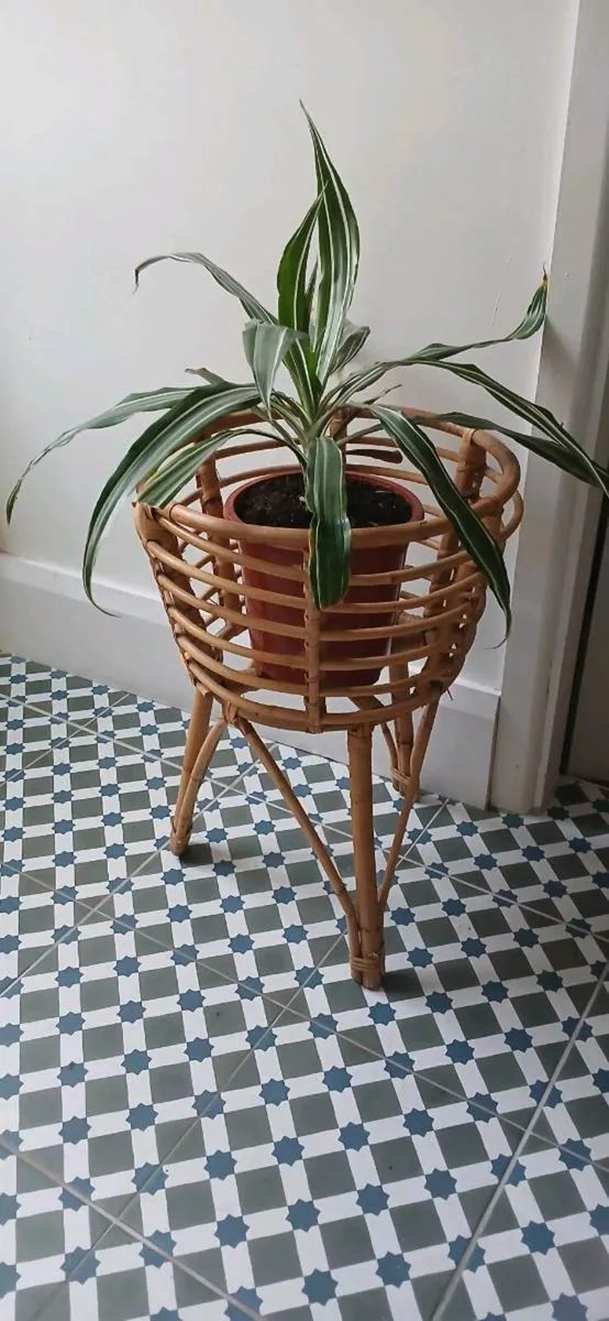 Vintage Rattan Plant Stand - Image 1