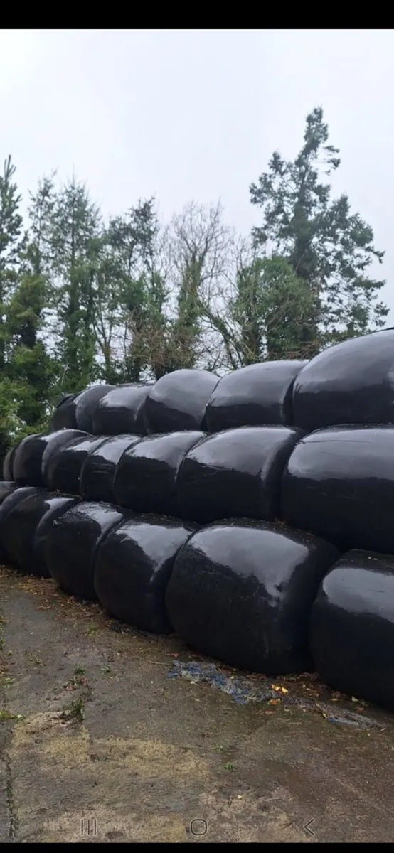 Silage for sale Annaduff Leitrim
