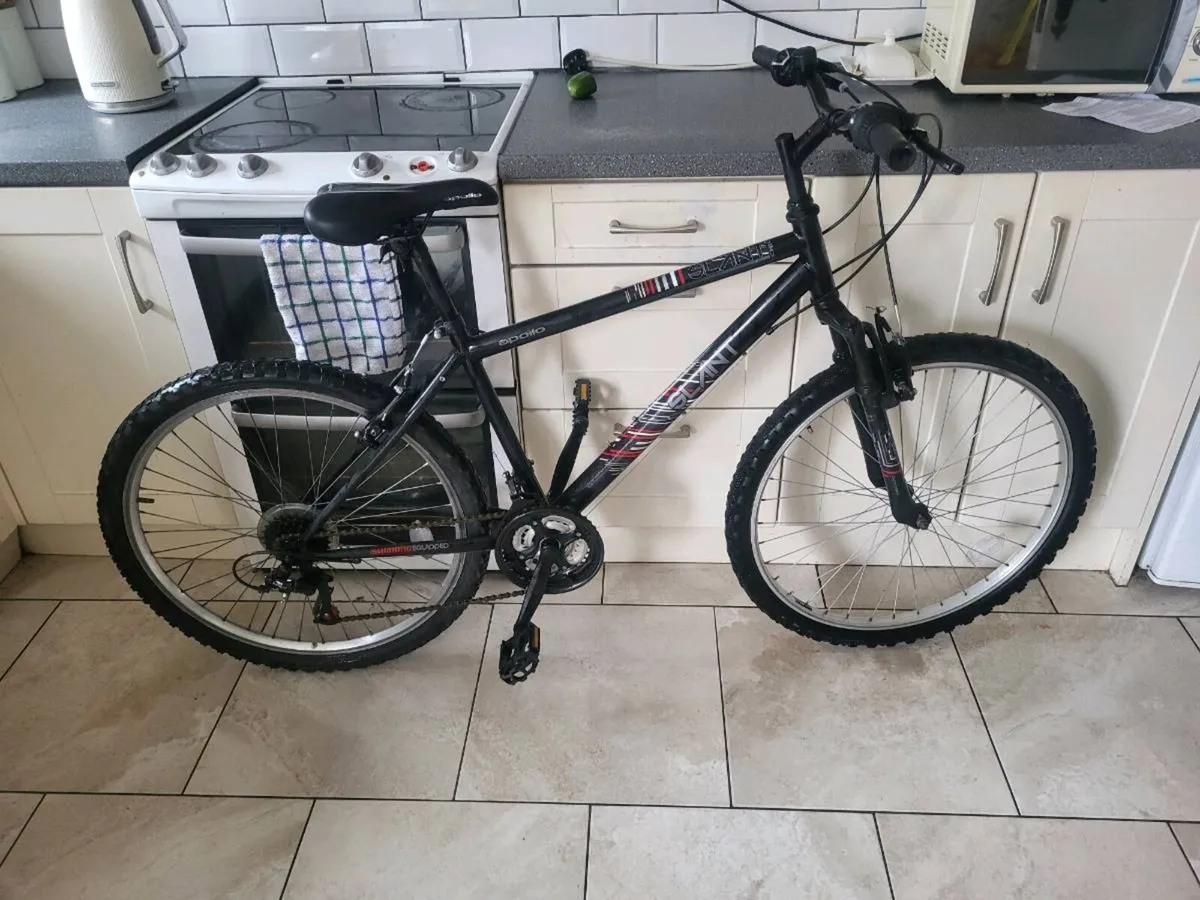 Mountain bike - Image 1