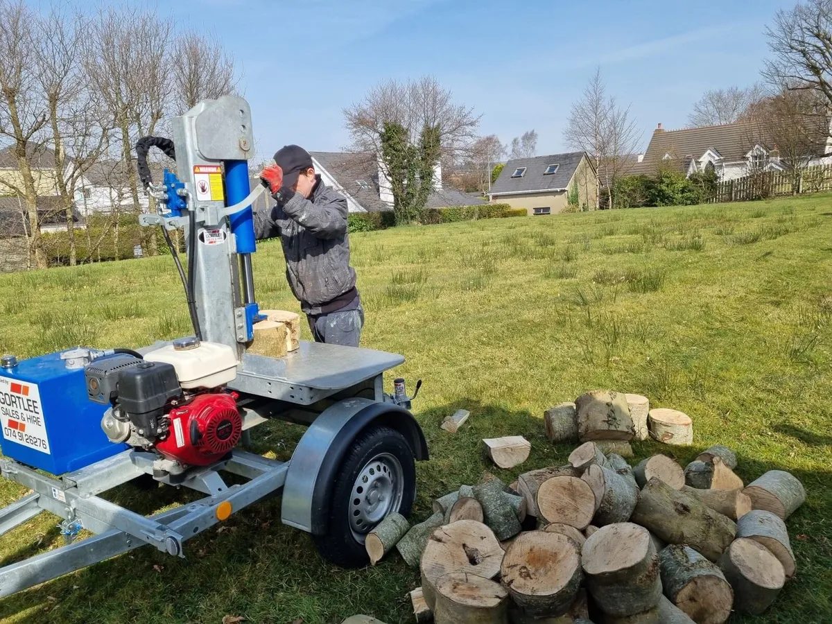 Handyman with Van - Image 4