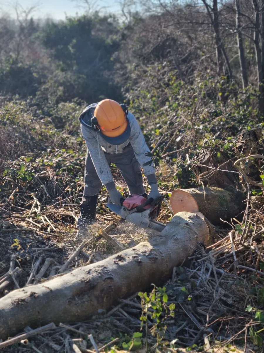 Handyman with Van - Image 3