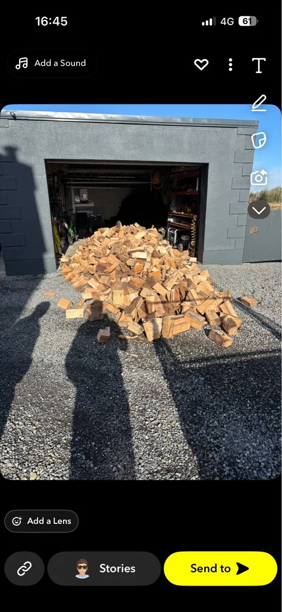 Top quality seasoned wood - Image 2