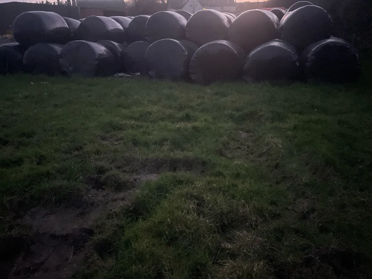 Silage bales
