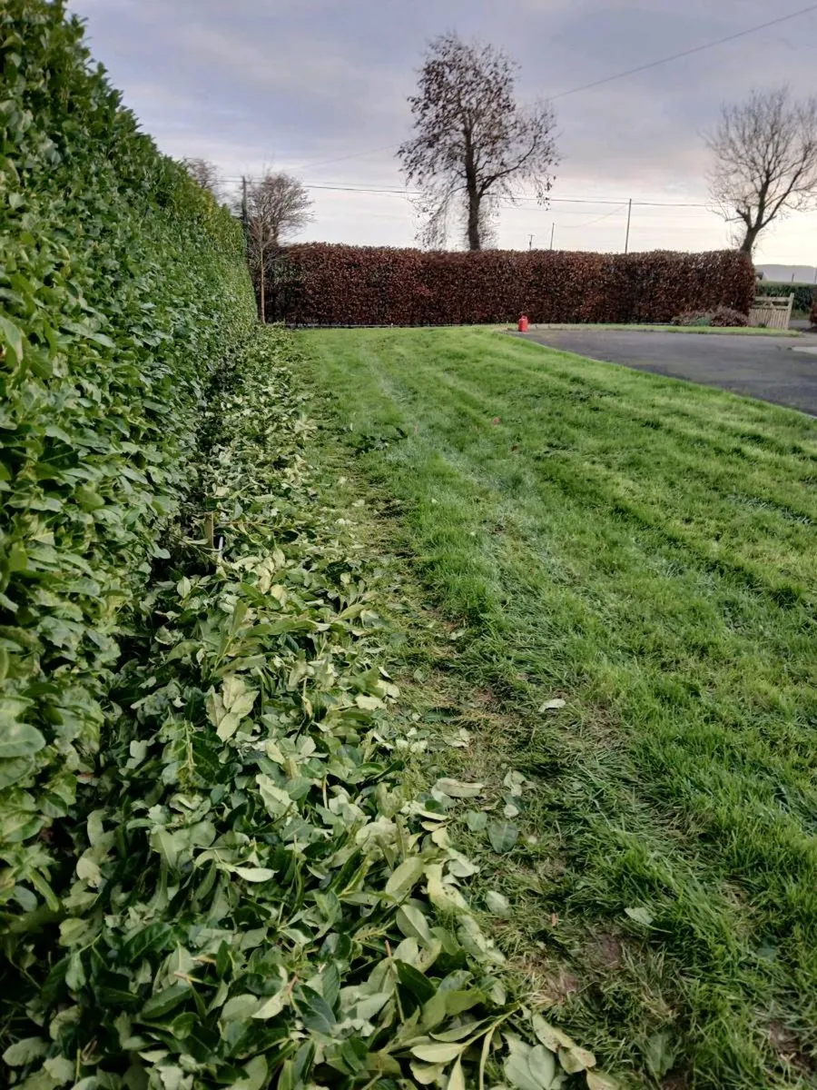 Gardening & Landscaping - Image 3