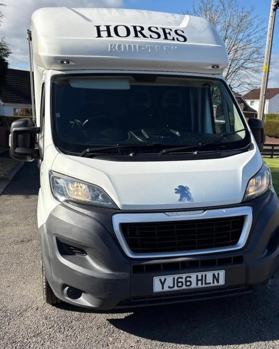 Stunning Citroen Relay 2017 Equitrek 2 Horsebox - Image 4