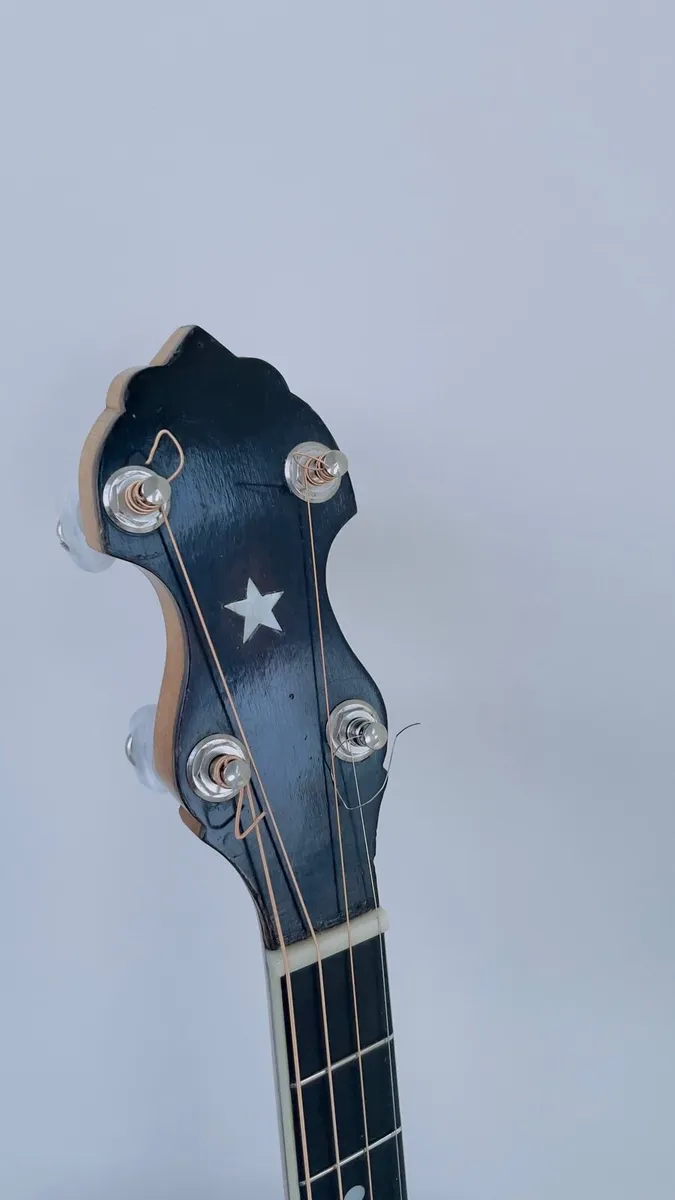 Vega Style R (WL)17 fret banjo - Image 3