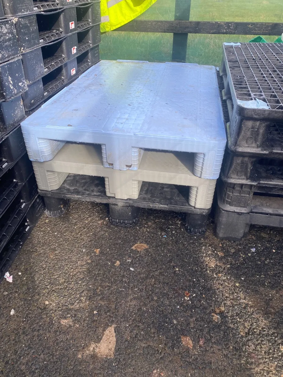 Selection of heavy duty plastic pallets - Image 3