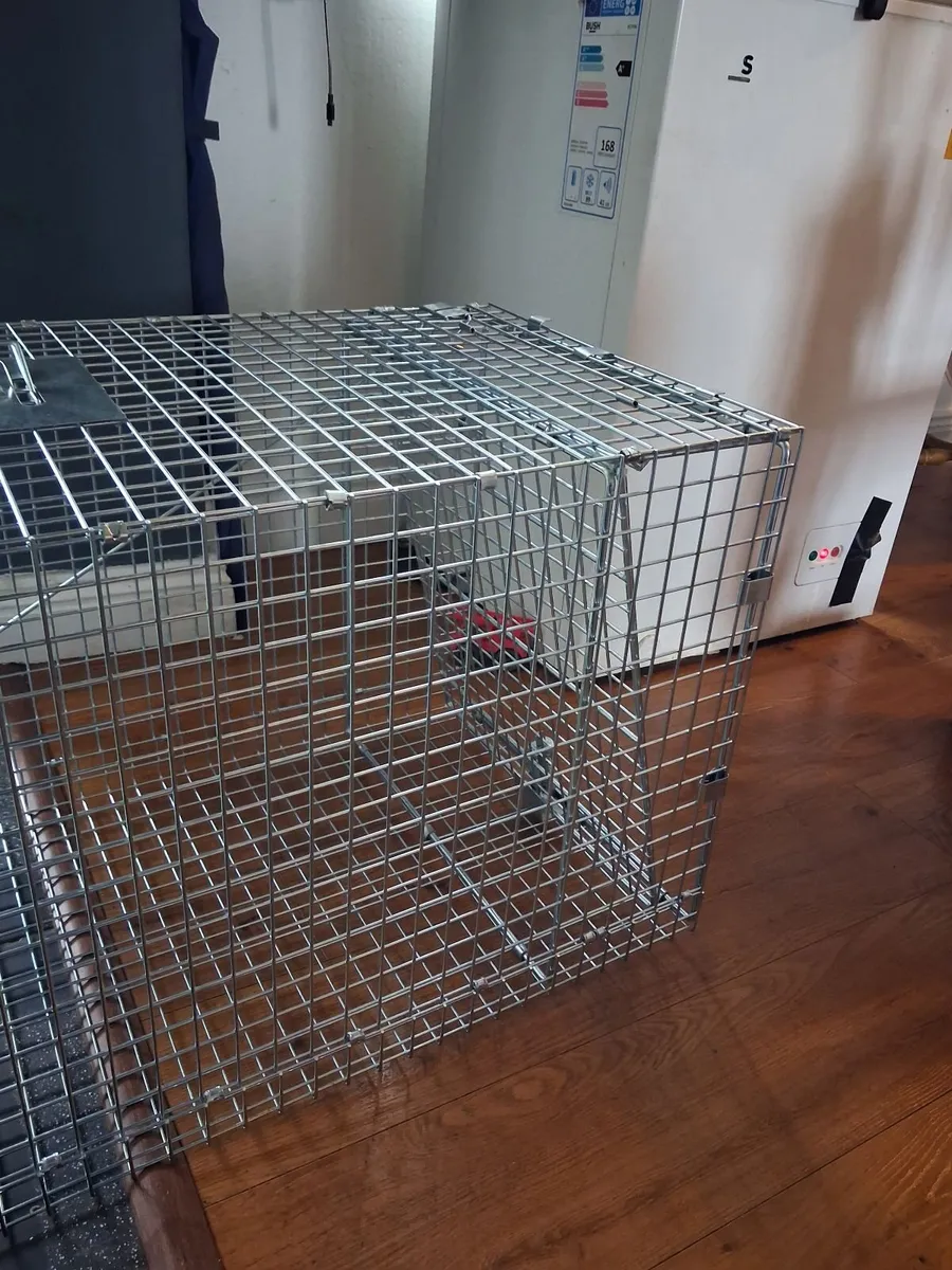 Live animal trap - Image 2