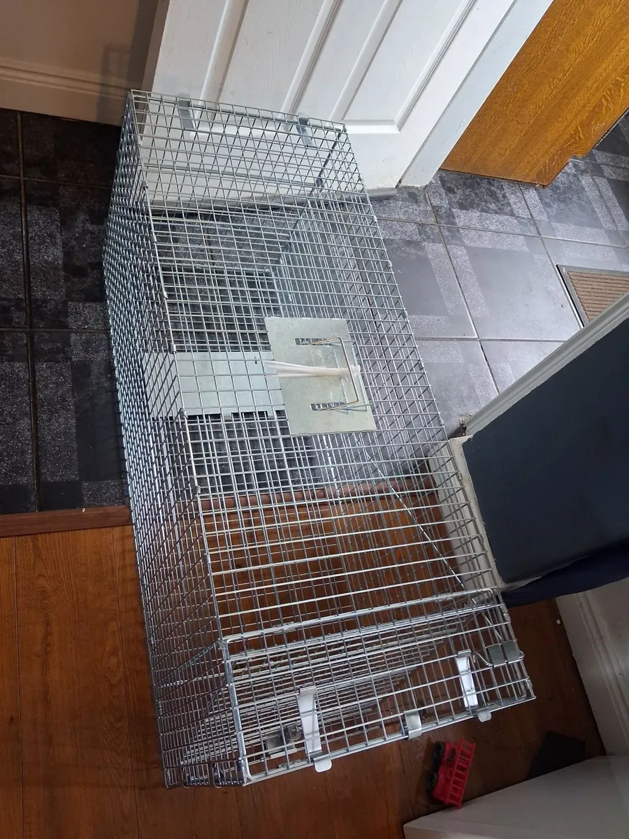 Live animal trap - Image 3