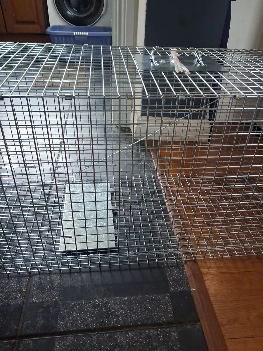 Live animal trap - Image 4