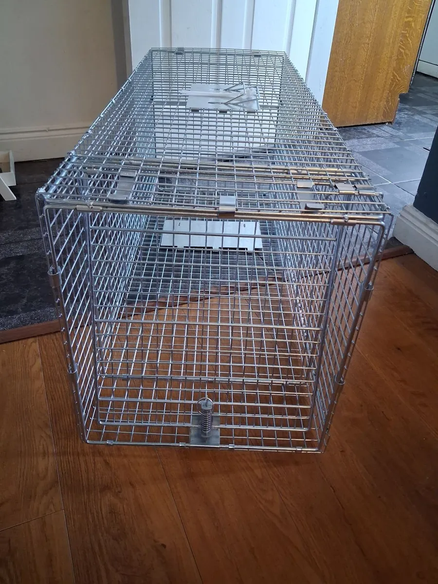 Live animal trap - Image 1