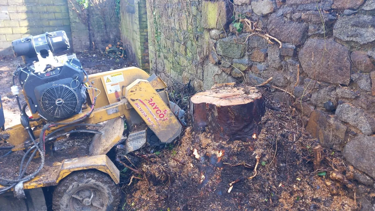 Stump Grinding /Tree Stump Removal - Image 1