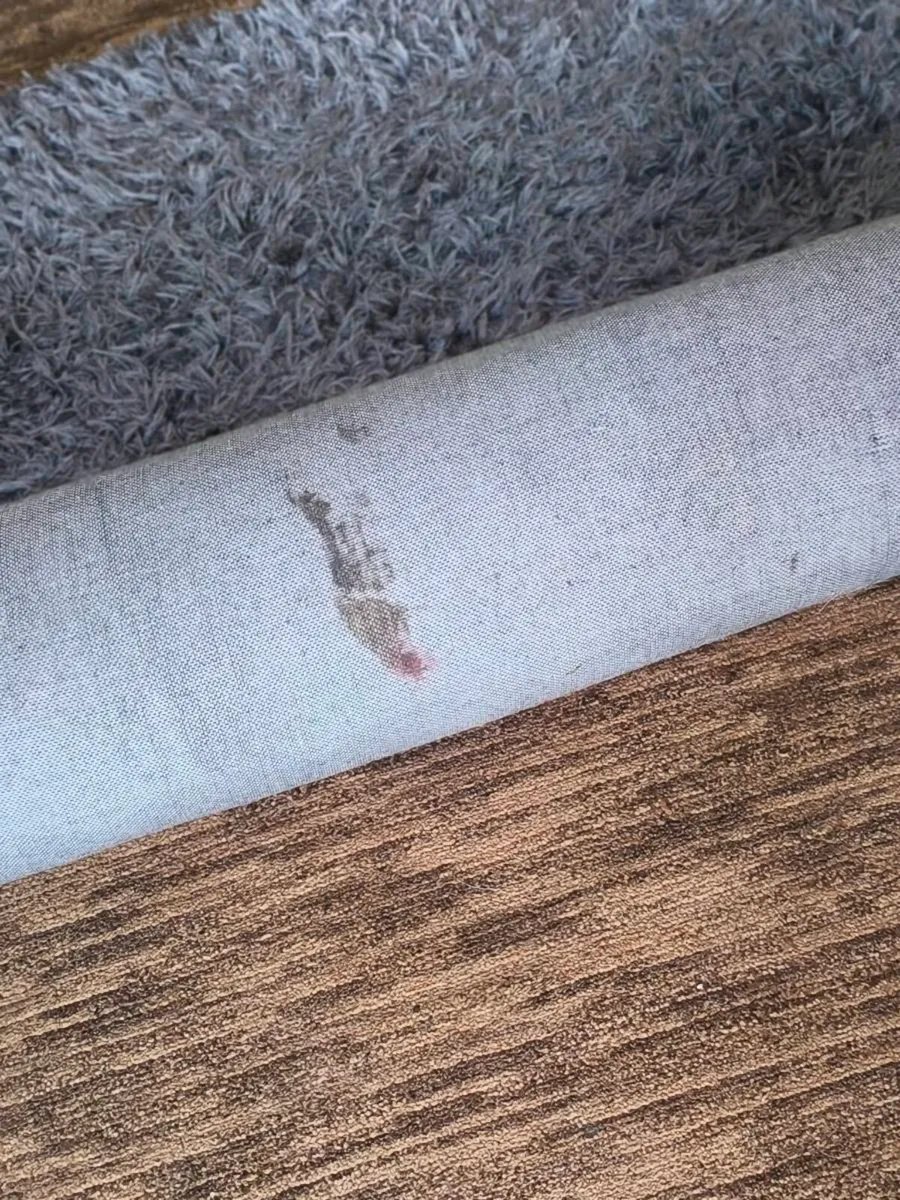 Beautiful like new gray rug 160/230 quick sale 35 - Image 4