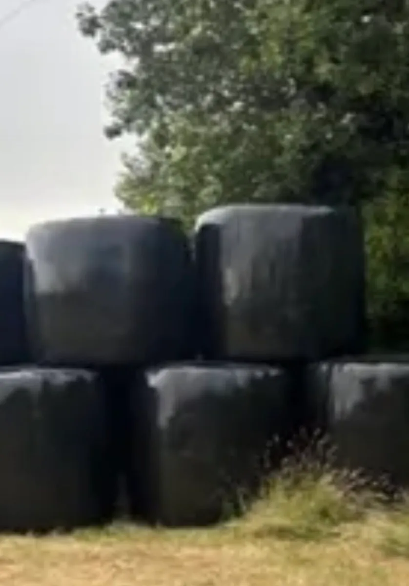 Organic Haylage 40 round bales