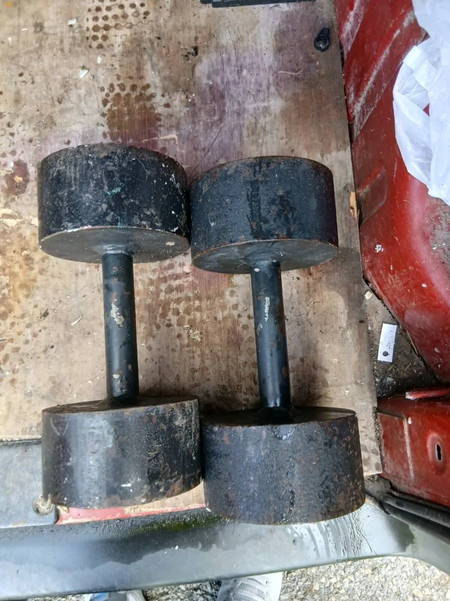 EXERCISE BENCH + DUMBELLS - Image 4