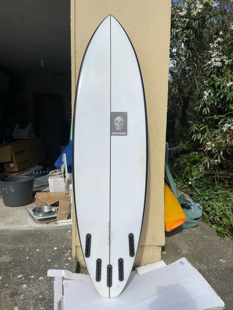 Pukas x christenson water lion surfboard - Image 2