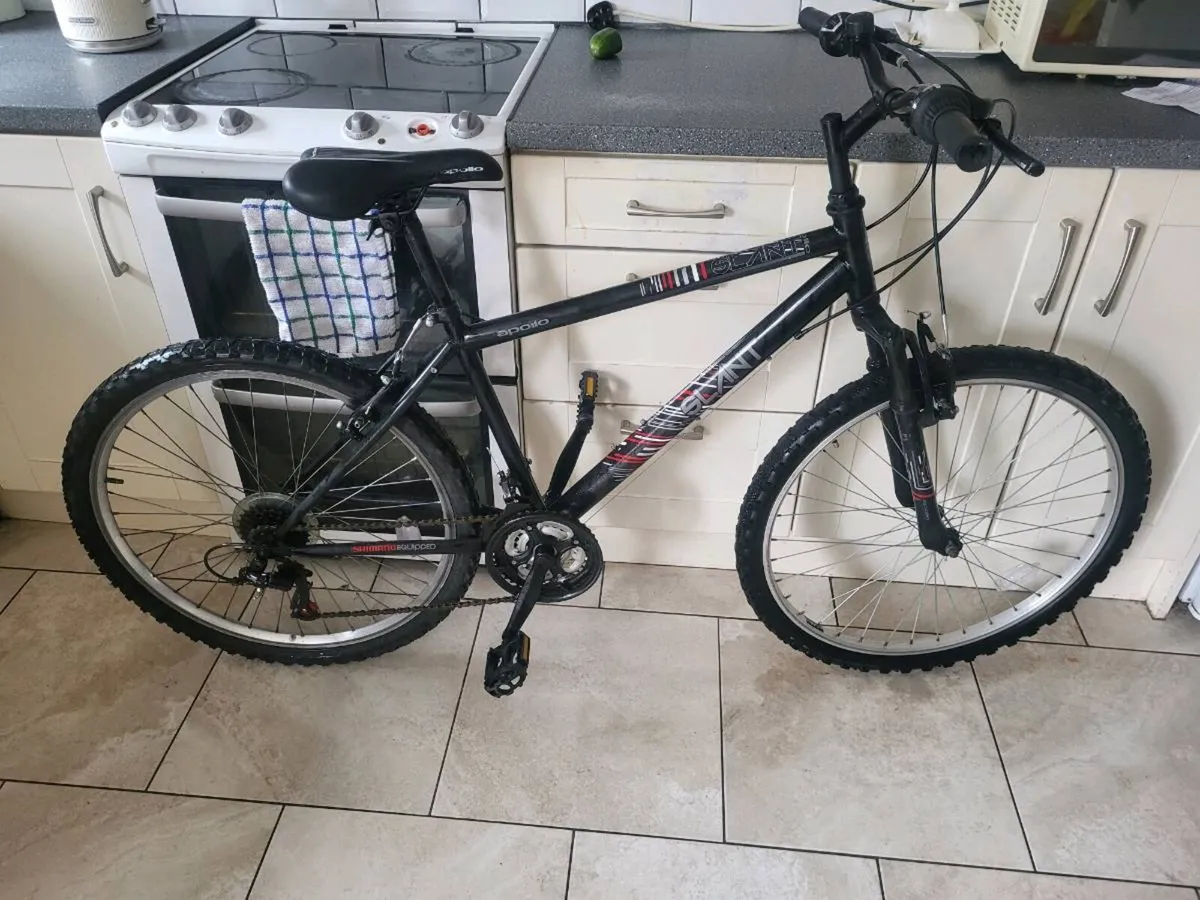 Mountain bike - Image 1