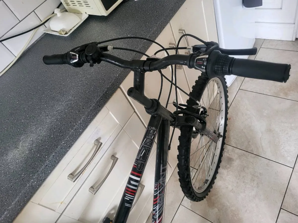 Mountain bike - Image 3