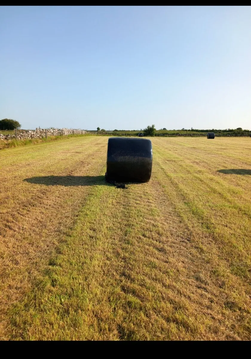 Top quality horse haylage - Image 1