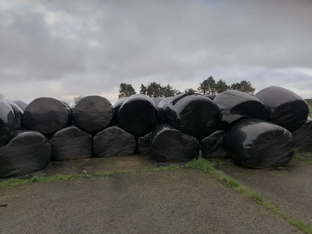 Silage bales