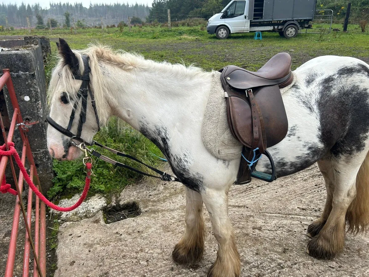 Child pony/ lead rain - Image 1